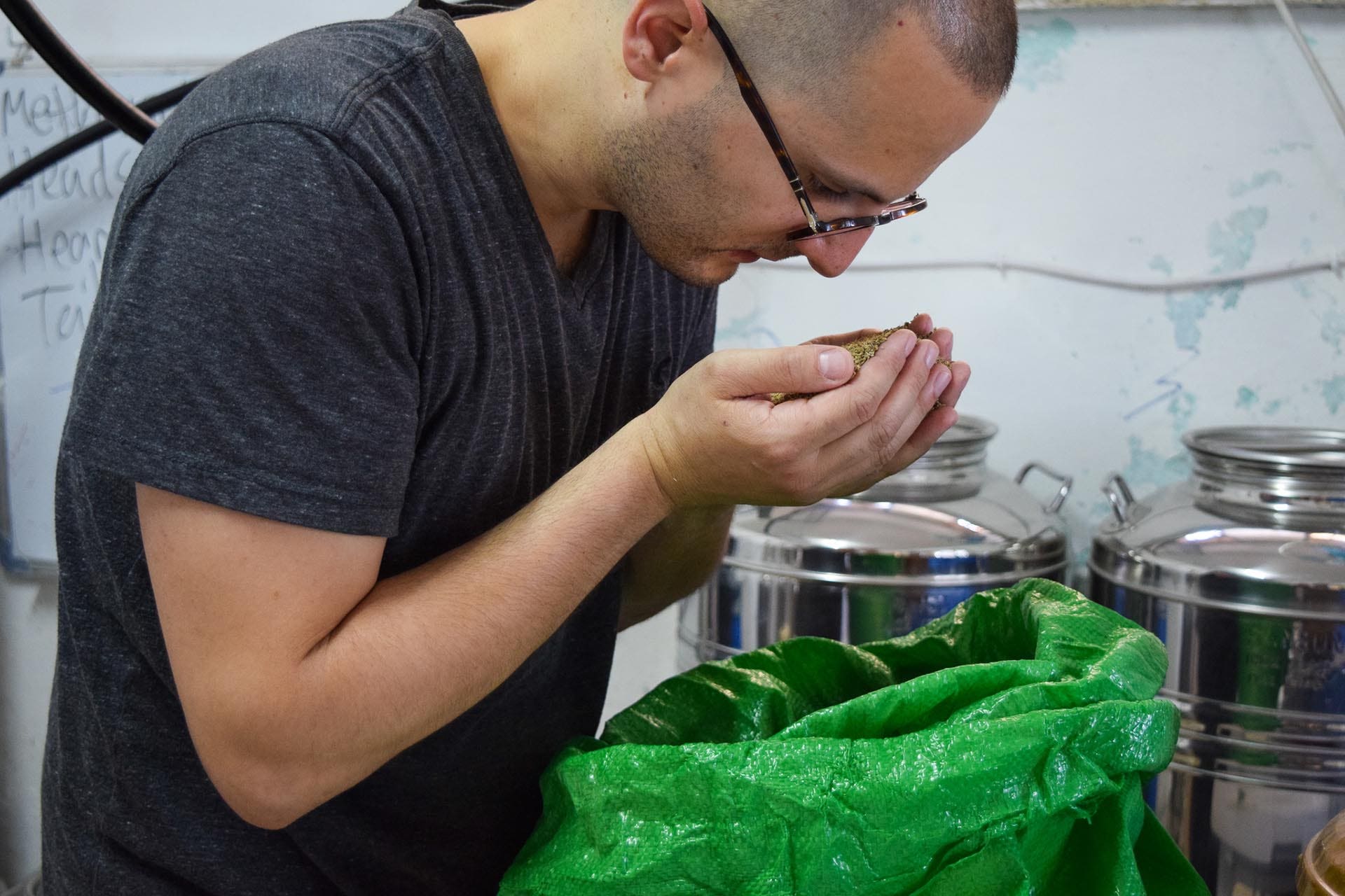 Distiller Nader Muaddi smelling Palestinian anise seeds / Photo by Gabriel Helou